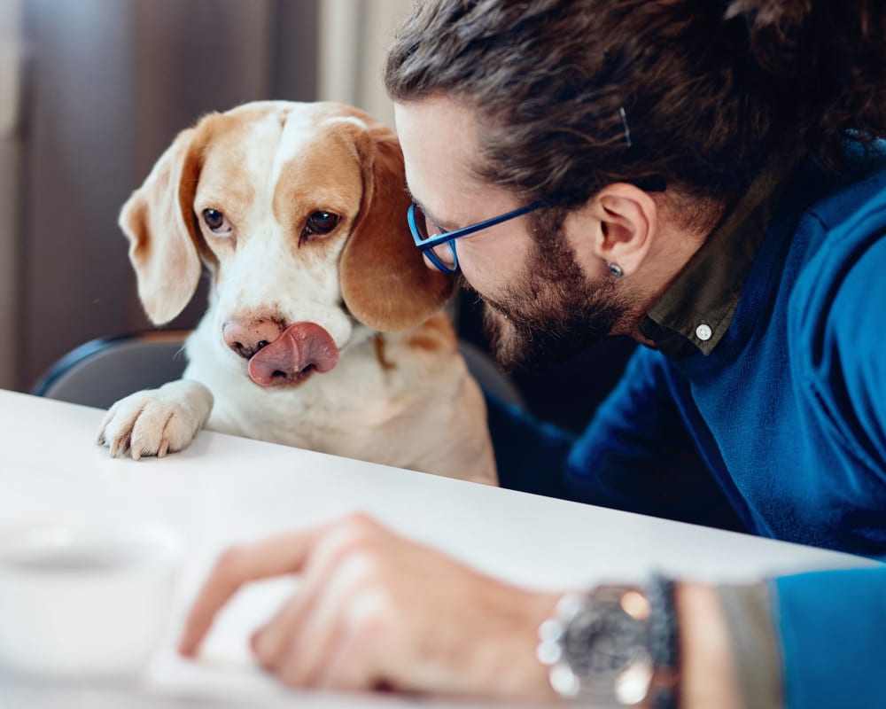 Geriatric Care for Pets, Caledon